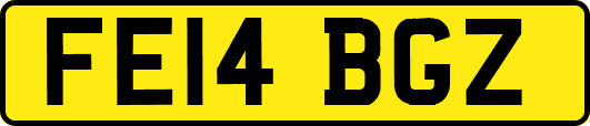 FE14BGZ