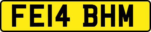 FE14BHM