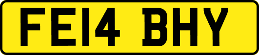 FE14BHY