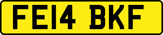 FE14BKF