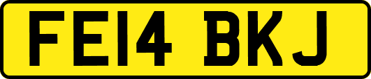 FE14BKJ