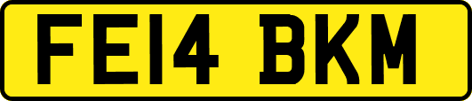 FE14BKM