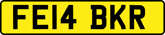 FE14BKR