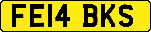 FE14BKS