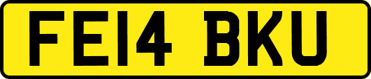 FE14BKU