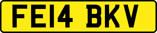 FE14BKV