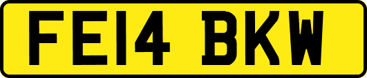 FE14BKW