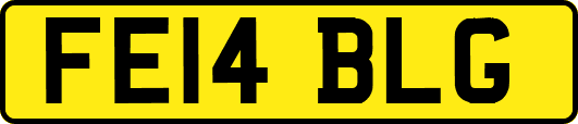 FE14BLG