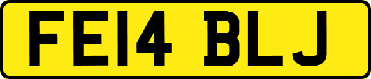 FE14BLJ