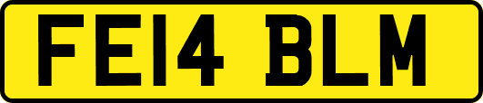 FE14BLM