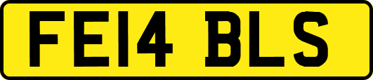 FE14BLS