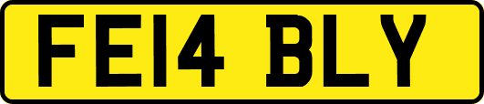 FE14BLY