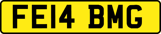 FE14BMG