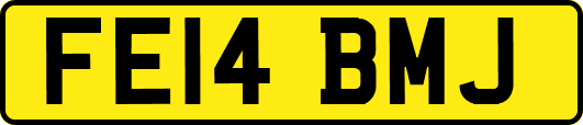 FE14BMJ