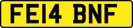 FE14BNF