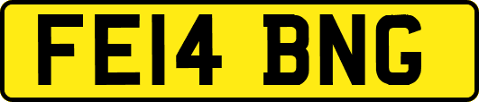 FE14BNG