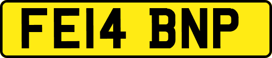 FE14BNP