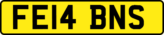 FE14BNS