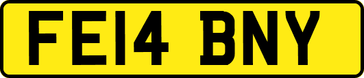 FE14BNY