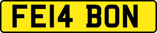 FE14BON
