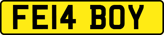 FE14BOY