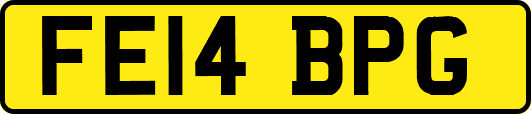 FE14BPG