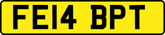 FE14BPT