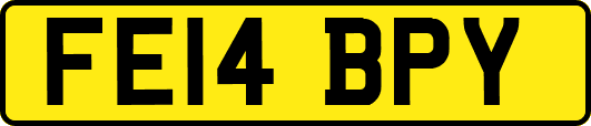 FE14BPY