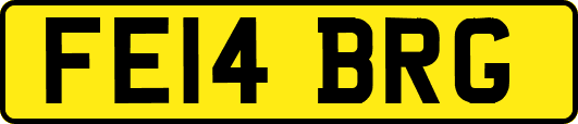 FE14BRG