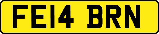FE14BRN