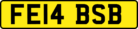FE14BSB