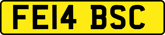 FE14BSC