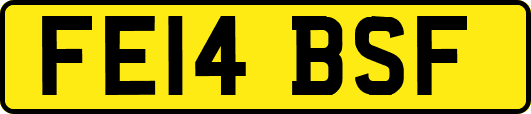 FE14BSF