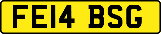 FE14BSG