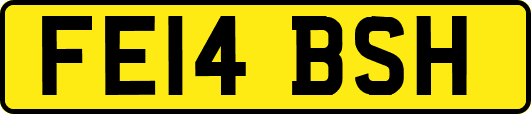 FE14BSH