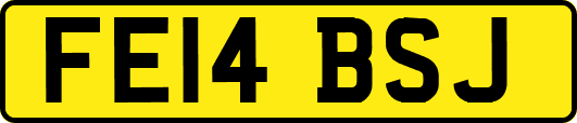 FE14BSJ