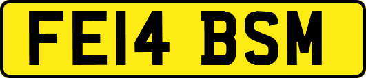 FE14BSM