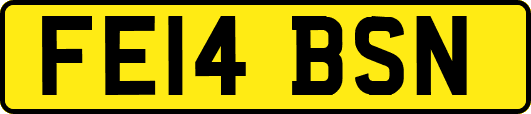 FE14BSN