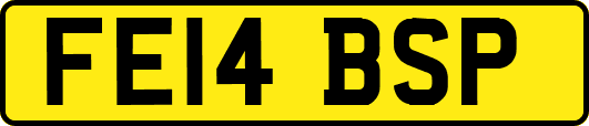 FE14BSP