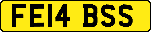 FE14BSS