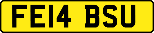 FE14BSU