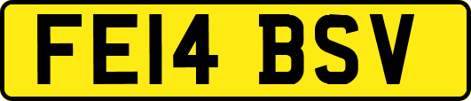FE14BSV