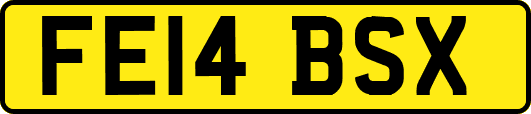 FE14BSX