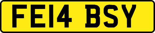 FE14BSY