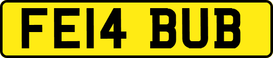 FE14BUB