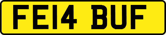 FE14BUF