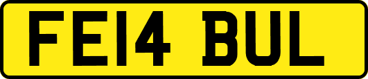 FE14BUL