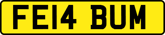 FE14BUM