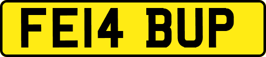 FE14BUP
