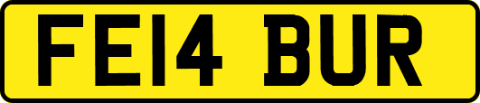 FE14BUR